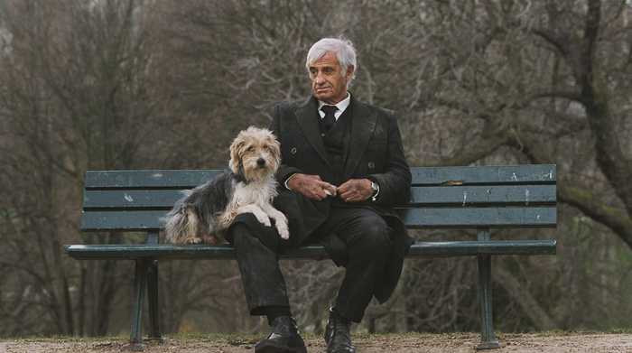 How can I not remember this touching photo ... - Dog, Jean-Paul Belmondo, Repeat