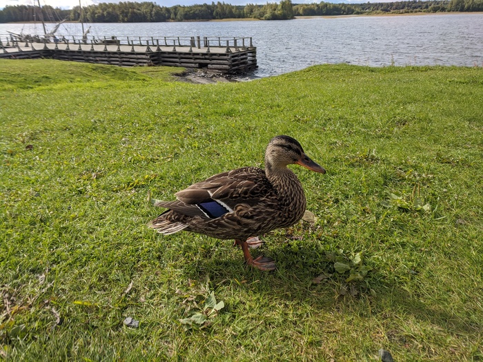 Кижи Кижи, Карелия, Длиннопост