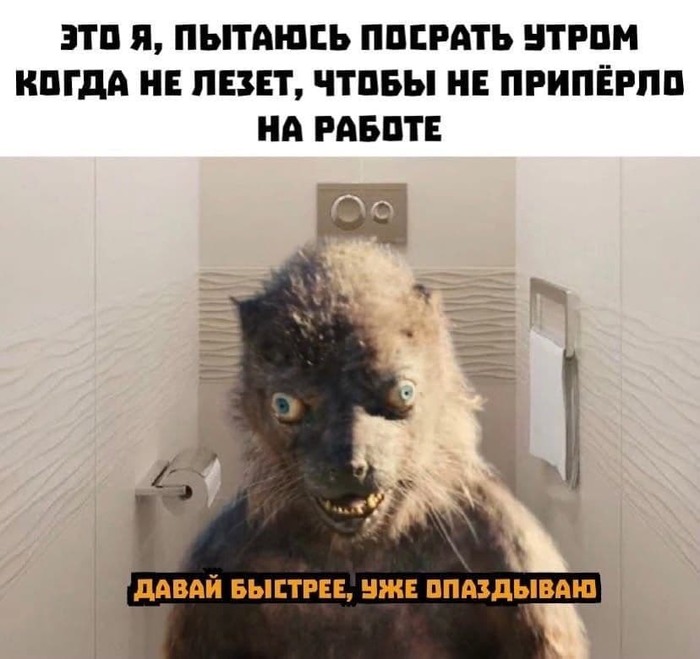 ���� ���������� �� � ����