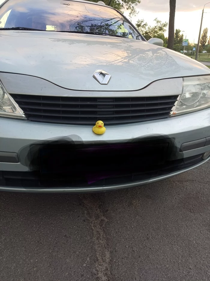Reply to the post Rides with the breeze) - My, Moto, Пассажиры, Doll, Reply to post, Rubber duck, Bumper, Renault, Auto