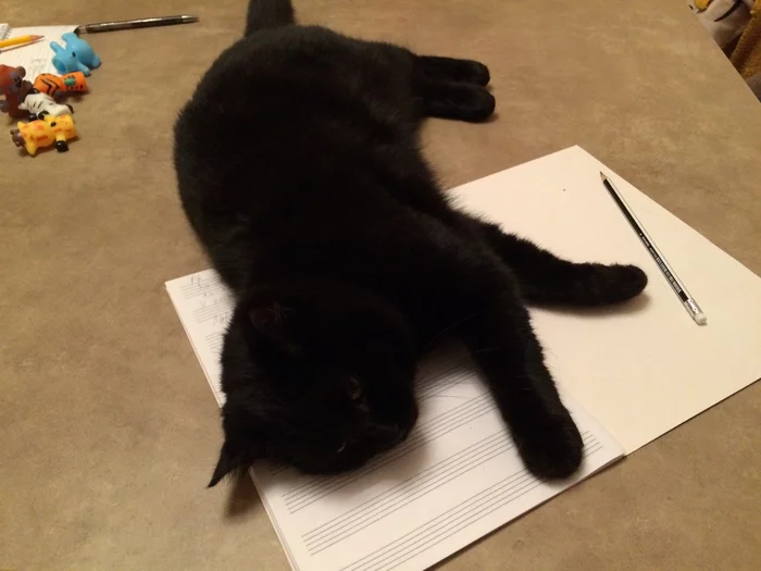 When you have to do a music assignment, but you have paws - My, cat, Black cat, Musical staff, Homework, Music, Fatigue