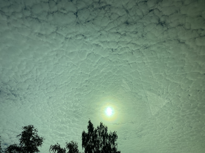 ������ �������� �����