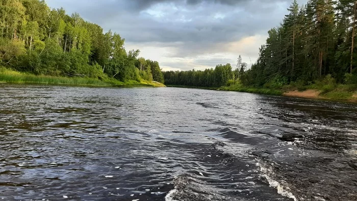 Rivers of the Vologda region - My, Nature, River, Fishing, Vologodskaya Oblast, A fish, Dacha, Mobile photography, beauty of nature, Longpost, , Ships