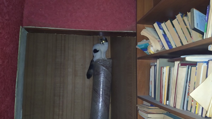      , , 