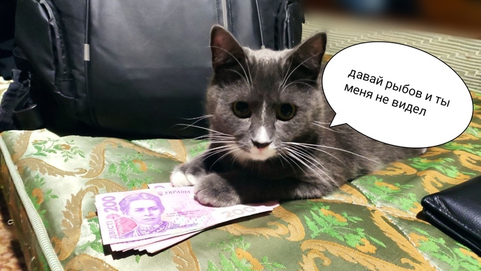 ���������� ��������