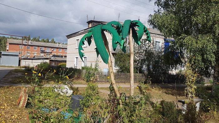 �����, �����