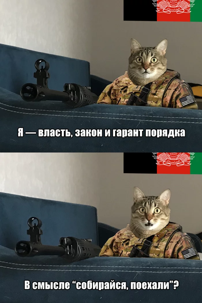 1631009773137719214.webp