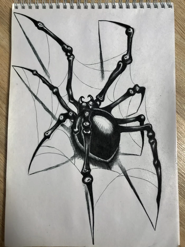 Spider with a capillary pen in a sketchbook - My, Black and white, Pen drawing, Spider, Graphics