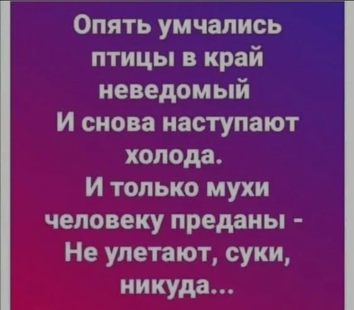 Friend of human - Humor, Муха, Loyalty, Poems