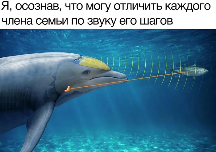 Superpower - Memes, Dolphin, Steps, Family, Picture with text, Memory