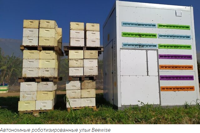Israeli robotic hives will save the global bee population - Bees, Technologies, Israel, Hives, Startup, Kindness, The rescue, news, Text, Longpost