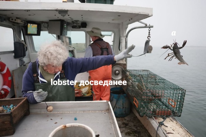 ,     Dank Memes, , 