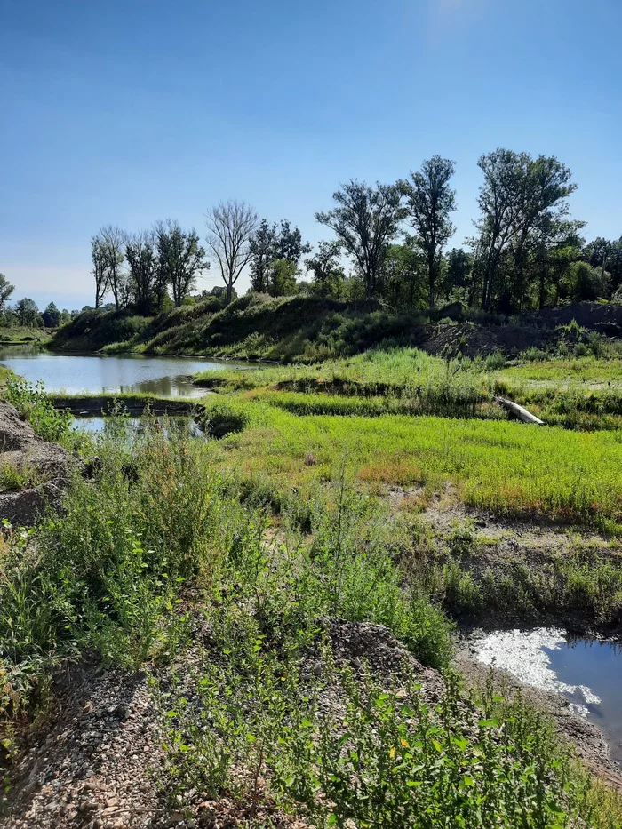 Old, almost dry riverbed - My, River, Nature, Longpost