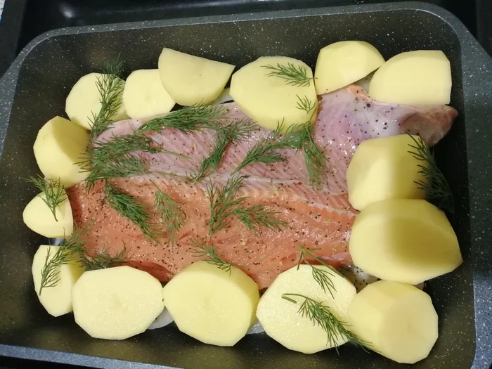 Salmon baked on an onion pillow with new potatoes and dill - My, A fish, Baking