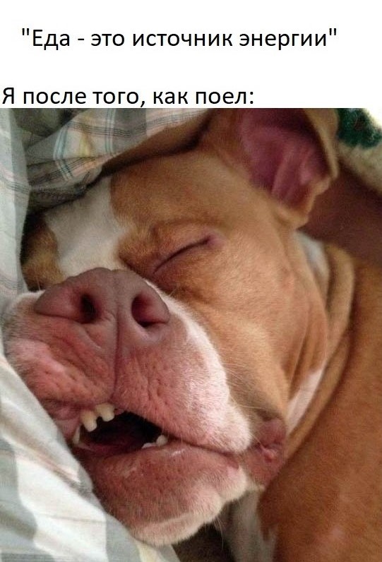 Что такое хорнет напиток. Смотреть фото Что такое хорнет напиток. Смотреть картинку Что такое хорнет напиток. Картинка про Что такое хорнет напиток. Фото Что такое хорнет напиток