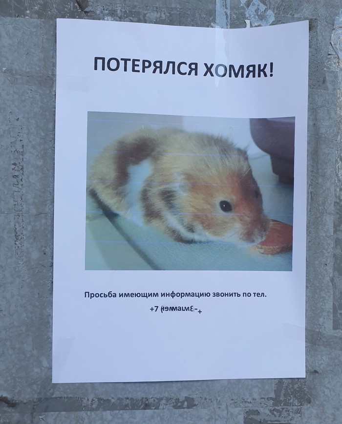 О-оптимизм