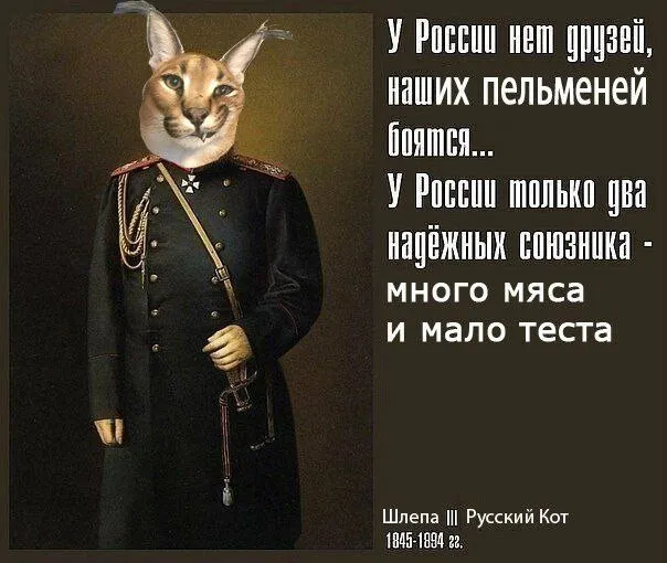   - .   -  Dank Memes, ,  , 