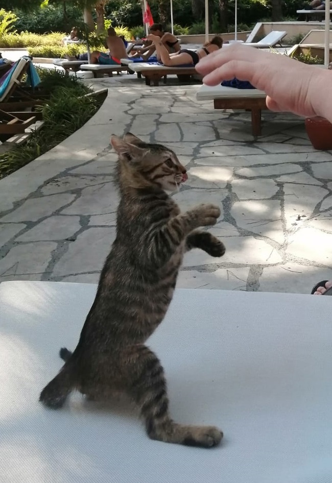 �������� ����� �� ������