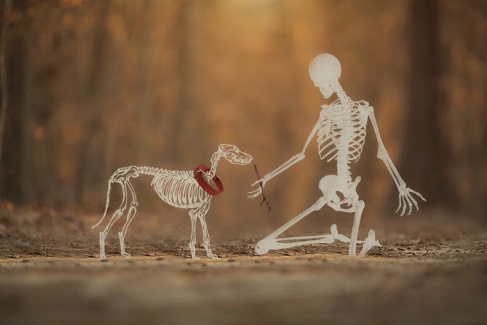 ̸����� ���