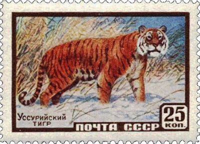 Feline on postage stamps of the USSR and the Russian Federation. - My, Amur tiger, Snow Leopard, Lynx, Caracal, Far Eastern leopard, Big cats, Small cats, Cat family, , Predatory animals, Wild animals, Stamps, Philately, mail, Longpost