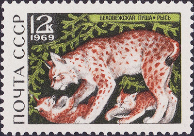 Feline on postage stamps of the USSR and the Russian Federation. - My, Amur tiger, Snow Leopard, Lynx, Caracal, Far Eastern leopard, Big cats, Small cats, Cat family, , Predatory animals, Wild animals, Stamps, Philately, mail, Longpost