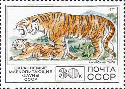 Feline on postage stamps of the USSR and the Russian Federation. - My, Amur tiger, Snow Leopard, Lynx, Caracal, Far Eastern leopard, Big cats, Small cats, Cat family, , Predatory animals, Wild animals, Stamps, Philately, mail, Longpost