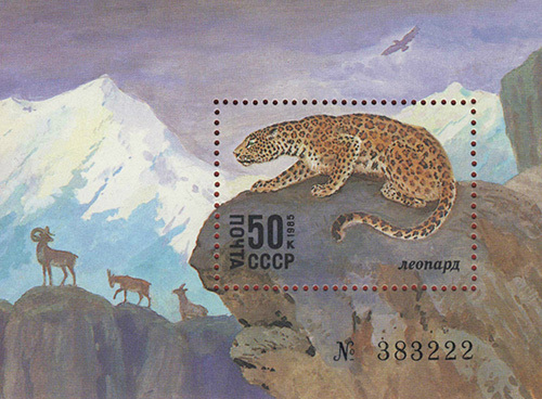 Feline on postage stamps of the USSR and the Russian Federation. - My, Amur tiger, Snow Leopard, Lynx, Caracal, Far Eastern leopard, Big cats, Small cats, Cat family, , Predatory animals, Wild animals, Stamps, Philately, mail, Longpost