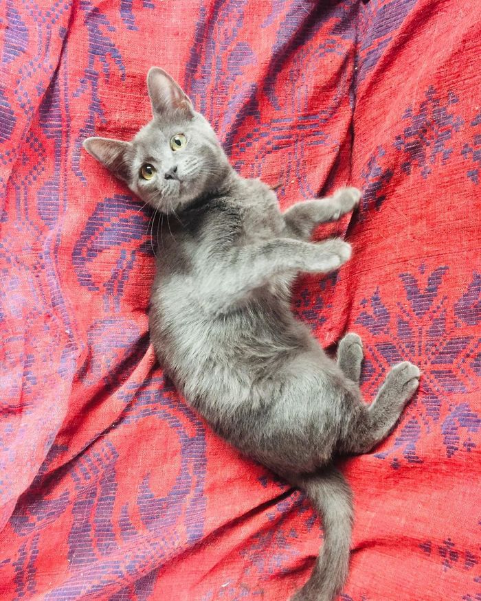 ΠΊΠ°ΠΊΠ°Ρ ΡΠ°Π·Π½ΠΈΡΠ° ΠΌΠ΅ΠΆΠ΄Ρ Π±ΠΎΡΠ΄ΡΡΠΎΠΌ ΠΈ ΠΏΠΎΡΠ΅Π±ΡΠΈΠΊΠΎΠΌ. Π‘ΠΌΠΎΡΡΠ΅ΡΡ ΡΠΎΡΠΎ ΠΊΠ°ΠΊΠ°Ρ ΡΠ°Π·Π½ΠΈΡΠ° ΠΌΠ΅ΠΆΠ΄Ρ Π±ΠΎΡΠ΄ΡΡΠΎΠΌ ΠΈ ΠΏΠΎΡΠ΅Π±ΡΠΈΠΊΠΎΠΌ. Π‘ΠΌΠΎΡΡΠ΅ΡΡ ΠΊΠ°ΡΡΠΈΠ½ΠΊΡ ΠΊΠ°ΠΊΠ°Ρ ΡΠ°Π·Π½ΠΈΡΠ° ΠΌΠ΅ΠΆΠ΄Ρ Π±ΠΎΡΠ΄ΡΡΠΎΠΌ ΠΈ ΠΏΠΎΡΠ΅Π±ΡΠΈΠΊΠΎΠΌ. ΠΠ°ΡΡΠΈΠ½ΠΊΠ° ΠΏΡΠΎ ΠΊΠ°ΠΊΠ°Ρ ΡΠ°Π·Π½ΠΈΡΠ° ΠΌΠ΅ΠΆΠ΄Ρ Π±ΠΎΡΠ΄ΡΡΠΎΠΌ ΠΈ ΠΏΠΎΡΠ΅Π±ΡΠΈΠΊΠΎΠΌ. Π€ΠΎΡΠΎ ΠΊΠ°ΠΊΠ°Ρ ΡΠ°Π·Π½ΠΈΡΠ° ΠΌΠ΅ΠΆΠ΄Ρ Π±ΠΎΡΠ΄ΡΡΠΎΠΌ ΠΈ ΠΏΠΎΡΠ΅Π±ΡΠΈΠΊΠΎΠΌ ΠΊΠ°ΠΊΠ°Ρ ΡΠ°Π·Π½ΠΈΡΠ° ΠΌΠ΅ΠΆΠ΄Ρ Π±ΠΎΡΠ΄ΡΡΠΎΠΌ ΠΈ ΠΏΠΎΡΠ΅Π±ΡΠΈΠΊΠΎΠΌ. Π‘ΠΌΠΎΡΡΠ΅ΡΡ ΡΠΎΡΠΎ ΠΊΠ°ΠΊΠ°Ρ ΡΠ°Π·Π½ΠΈΡΠ° ΠΌΠ΅ΠΆΠ΄Ρ Π±ΠΎΡΠ΄ΡΡΠΎΠΌ ΠΈ ΠΏΠΎΡΠ΅Π±ΡΠΈΠΊΠΎΠΌ. Π‘ΠΌΠΎΡΡΠ΅ΡΡ ΠΊΠ°ΡΡΠΈΠ½ΠΊΡ ΠΊΠ°ΠΊΠ°Ρ ΡΠ°Π·Π½ΠΈΡΠ° ΠΌΠ΅ΠΆΠ΄Ρ Π±ΠΎΡΠ΄ΡΡΠΎΠΌ ΠΈ ΠΏΠΎΡΠ΅Π±ΡΠΈΠΊΠΎΠΌ. ΠΠ°ΡΡΠΈΠ½ΠΊΠ° ΠΏΡΠΎ ΠΊΠ°ΠΊΠ°Ρ ΡΠ°Π·Π½ΠΈΡΠ° ΠΌΠ΅ΠΆΠ΄Ρ Π±ΠΎΡΠ΄ΡΡΠΎΠΌ ΠΈ ΠΏΠΎΡΠ΅Π±ΡΠΈΠΊΠΎΠΌ. Π€ΠΎΡΠΎ ΠΊΠ°ΠΊΠ°Ρ ΡΠ°Π·Π½ΠΈΡΠ° ΠΌΠ΅ΠΆΠ΄Ρ Π±ΠΎΡΠ΄ΡΡΠΎΠΌ ΠΈ ΠΏΠΎΡΠ΅Π±ΡΠΈΠΊΠΎΠΌ