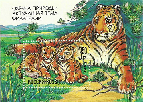 Feline on postage stamps of the USSR and the Russian Federation. - My, Amur tiger, Snow Leopard, Lynx, Pallas' cat, Forest cat, Jungle cat, Far Eastern leopard, Big cats, , Small cats, Cat family, Predatory animals, Wild animals, Stamps, Philately, Post office, Longpost, Far Eastern Forest Cat