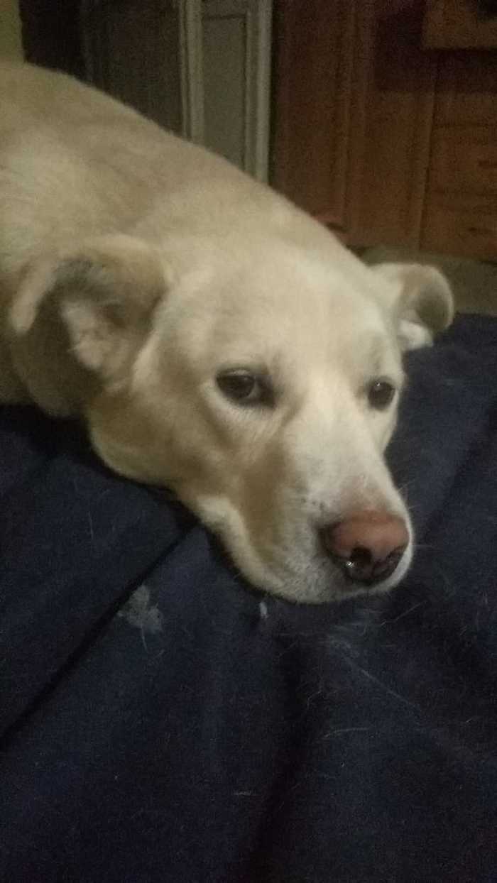 Макс - целитель!