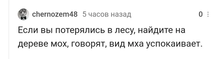 Советы заблудившимся в лесу от пикабушников - Заблудился, Один в лесу, Совет, Пикабушники, Юмор, Комментарии на Пикабу, Скриншот, Длиннопост