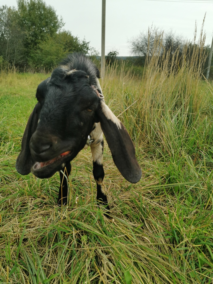 Мелочь есть? А если найду?