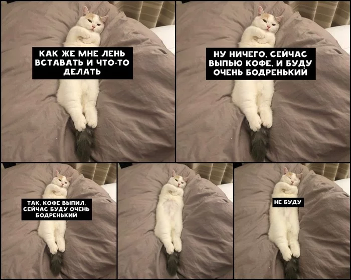 1631364602161599786.webp