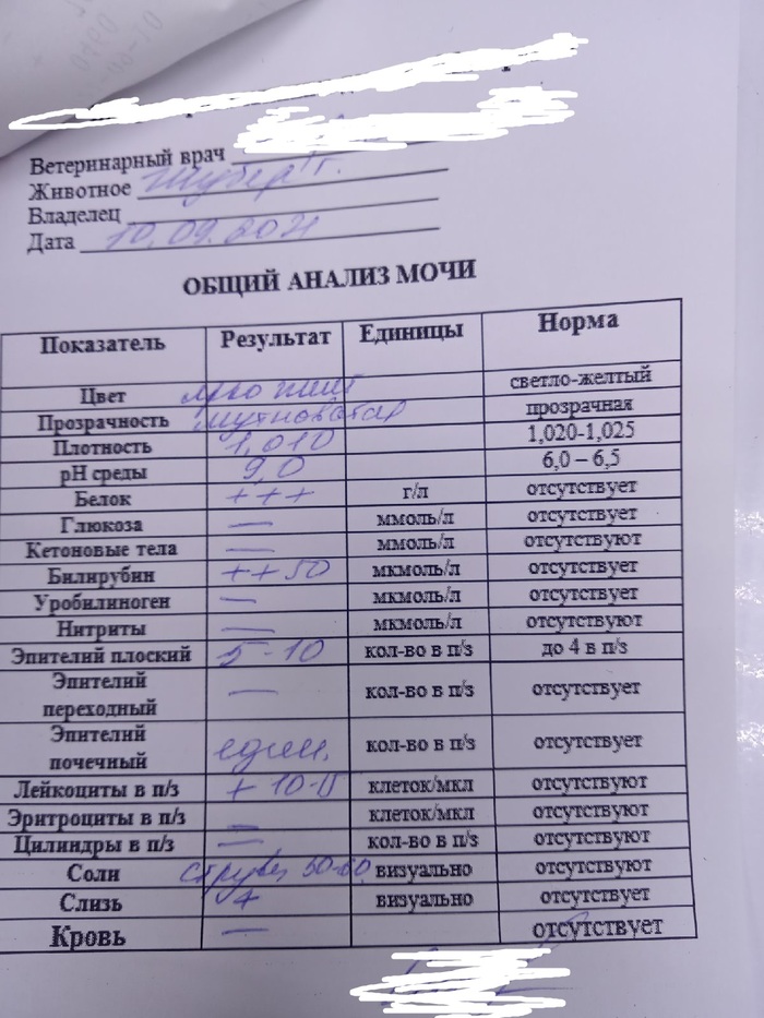 Что тут написано в этом кружке 2 слова. Смотреть фото Что тут написано в этом кружке 2 слова. Смотреть картинку Что тут написано в этом кружке 2 слова. Картинка про Что тут написано в этом кружке 2 слова. Фото Что тут написано в этом кружке 2 слова