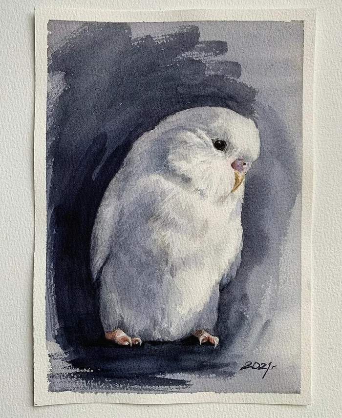 Parrot - My, Watercolor, Painting, Drawing, Artist, A parrot