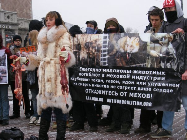 Элмурод Расулмухамедов: меховые шубы вполне можно заменить одеждой из искусственных тканей - Экоград, Природа, Защита животных, Политика, Экология, Видео, Длиннопост