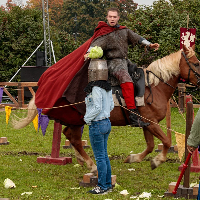 When she asked her husband to chop cabbage ... - My, Humor, Images, Historical reconstruction, Knights, Horses, Longpost, Reconstructors