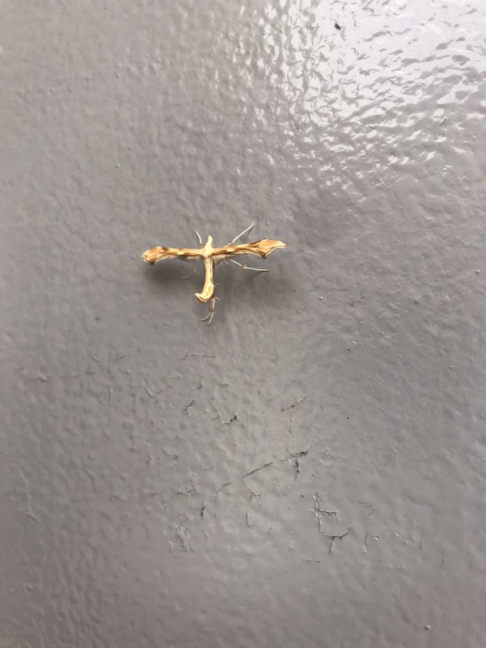    ? , ,  ?