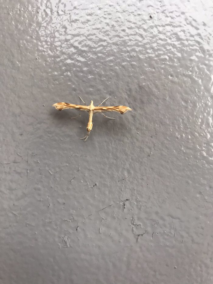    ? , ,  ?