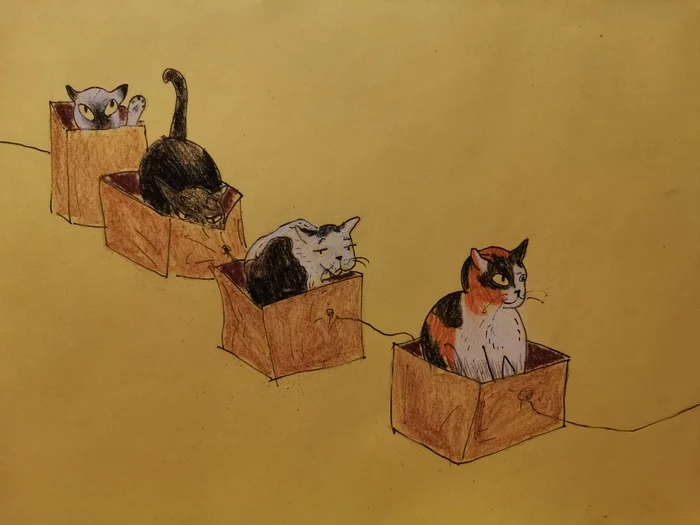 Reply to the post Cat train - My, cat, Box, Vertical video, Drawing, Reply to post