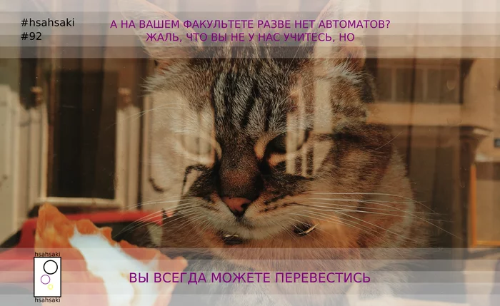 Meme about students hsahsaki 92.3: Students are not averse to moving to the faculty with machine guns - My, University, University, Institute, Students, Teacher, Animals, cat, Humor, , Memes, Picture with text, Images, Department, Grade, Translation, Advantage, Cunning, Problem, Question, Lecture, Interesting