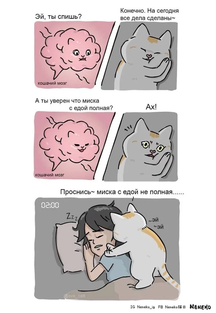 Get up, save me from hunger! - cat, Comics, Neneko