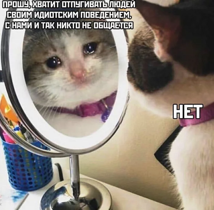 It happens - cat, Memes, Vital, Mirror, Picture with text