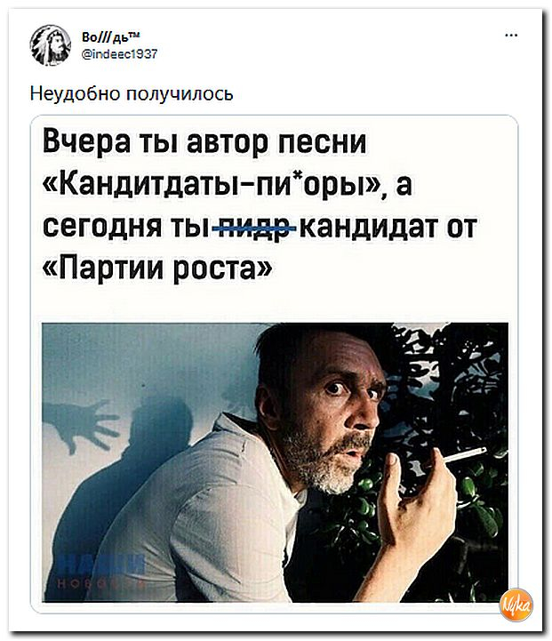 Well, something like this... - Humor, Politics, Picture with text, Sergei Shnurov, Twitter, Elections, Candidates