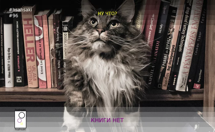 Hsahsaki 96.3 student meme: The library has a lot of books, but not all - My, Library, Librarian, Books, Sadness, Animals, cat, Picture with text, Images, , Humor