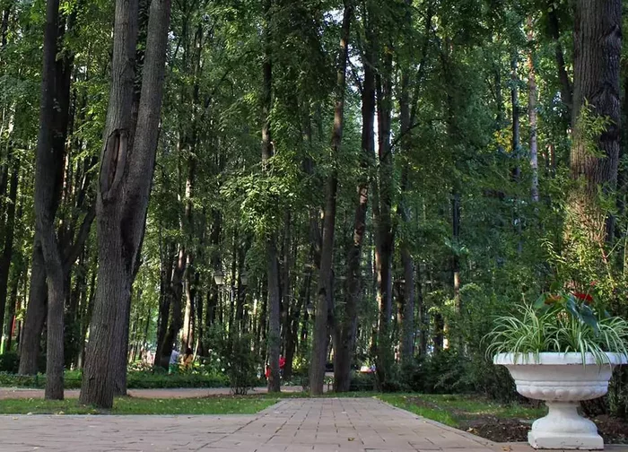 Pervert spotted again in Moscow park on Yauza - Moscow, The park, Perverts, Exhibitionism, Warning, Text