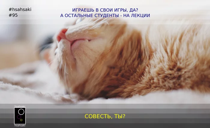 hsahsaki 95.3 student meme: student's game of games ended when conscience woke up - My, Students, Conscience, Games, Computer games, Критика, Absenteeism, cat, Humor, , Memes, Picture with text, Images