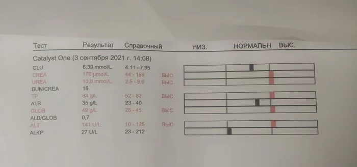 Question for cat breeders. - My, No rating, Veterinary, cat, Longpost