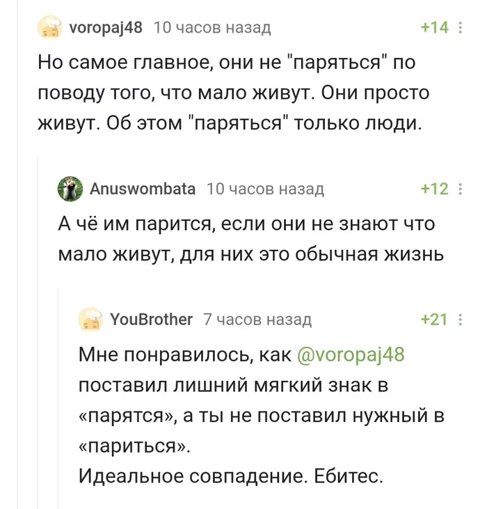 I have already tuned in to philosophical reflections, but this is Peekaboo - Pick-up headphones, Unexpected turn, Russian language, Rules, Humor, Comments on Peekaboo