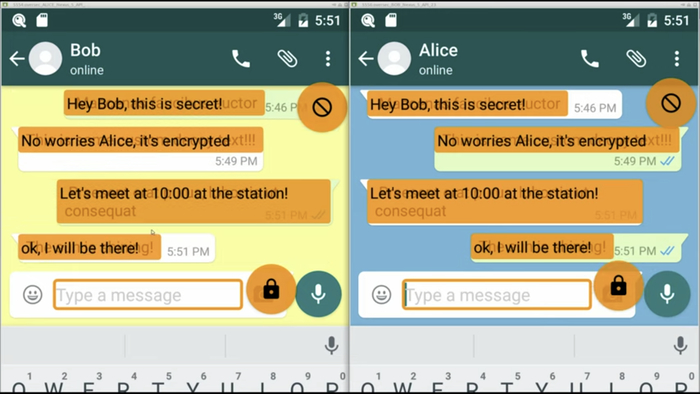         Encryption, Privacy, 